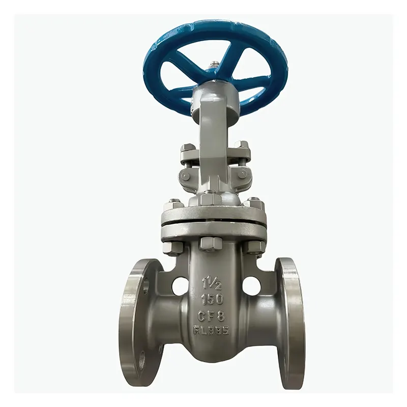 স্টেইনলেস স্টীল 304 Flanged গেট ভালভ